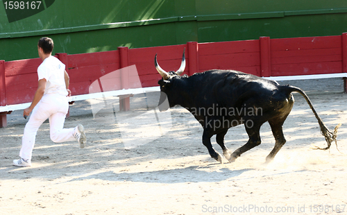 Image of Corrida