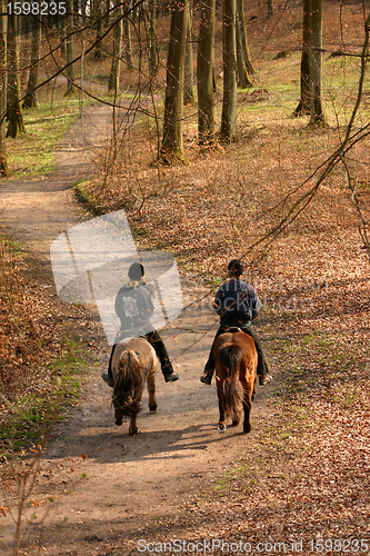 Image of riding horses