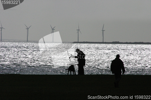 Image of tourists on the beach