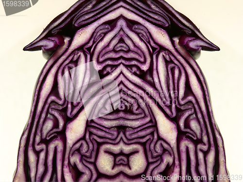 Image of Red cabbage