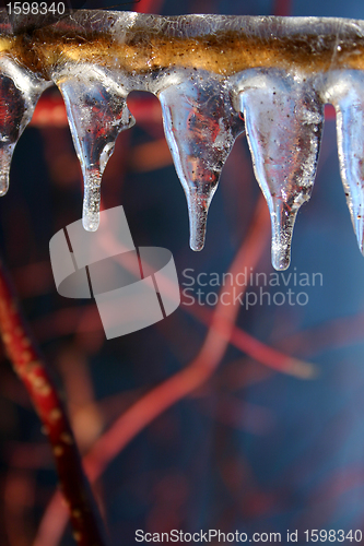 Image of winter