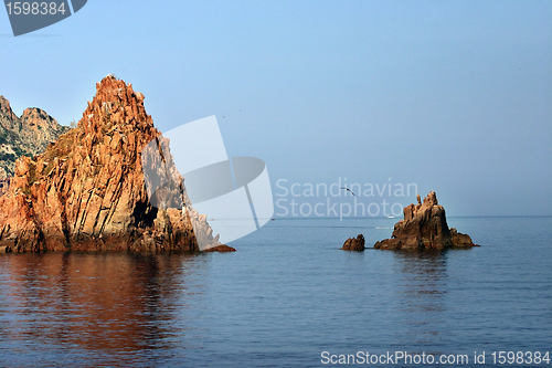 Image of CORSICA CALVI Bay of Calvi