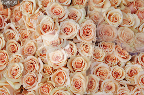 Image of flower shop