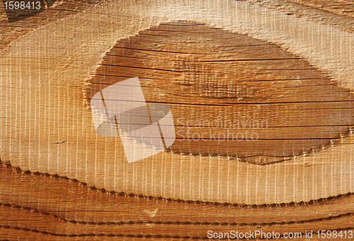 Image of wood