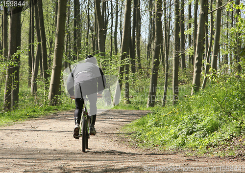 Image of Green forest biker