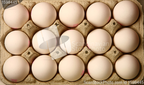 Image of eggs