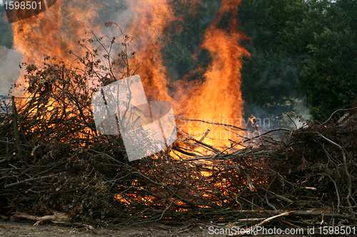 Image of fire