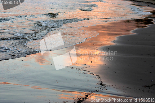 Image of CORSICA CALVI Beach of Calvi