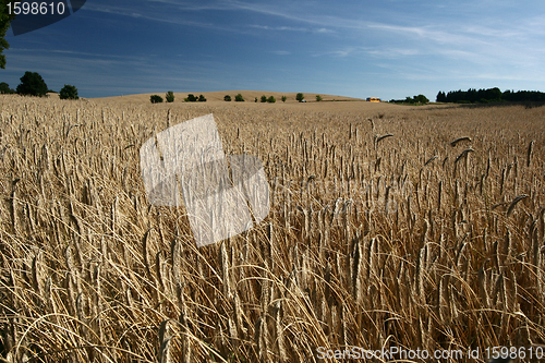 Image of rural denmark