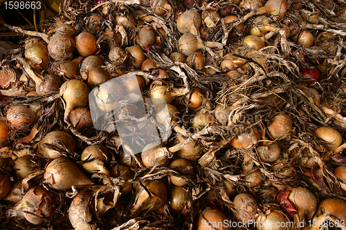 Image of onions
