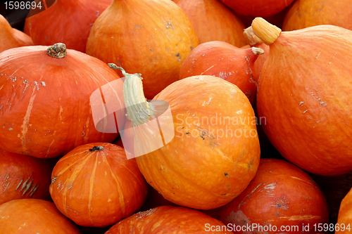 Image of pumpkin01