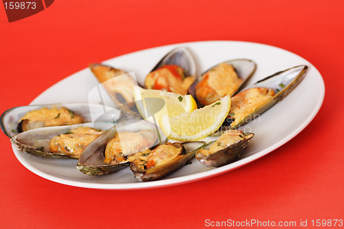 Image of Mussels