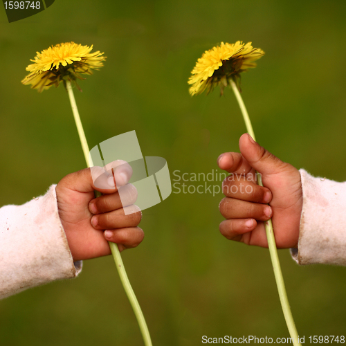 Image of dandelion child