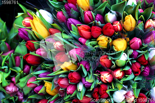 Image of flowers