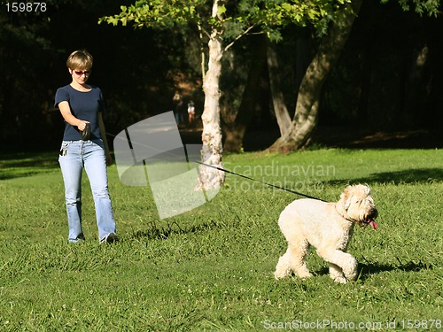 Image of Woman walking with her dog in the park
