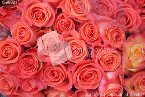 Image of flower shop