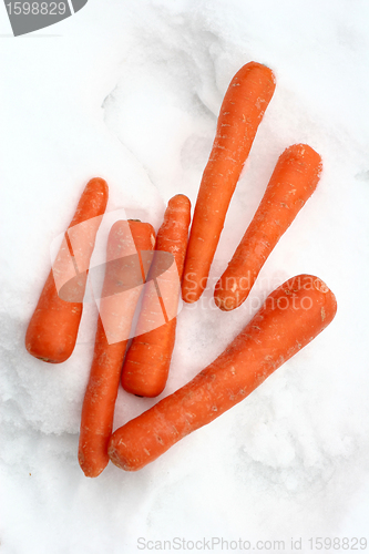 Image of ananas on snow