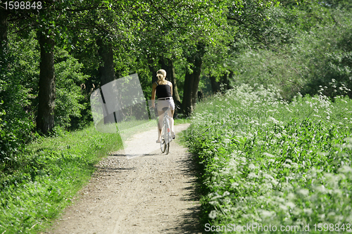 Image of bike