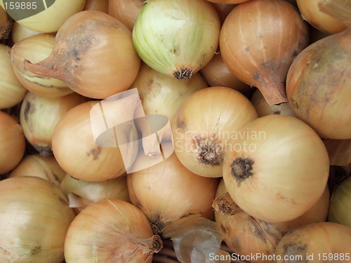 Image of Yellow onions