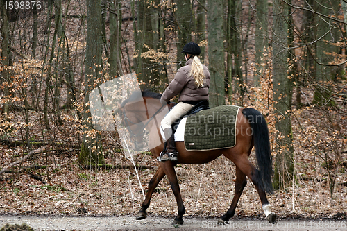 Image of riding horses
