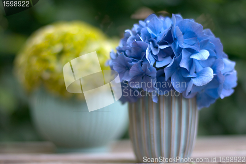 Image of flowers