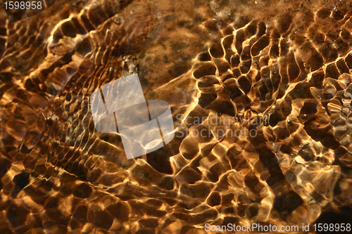 Image of gold water