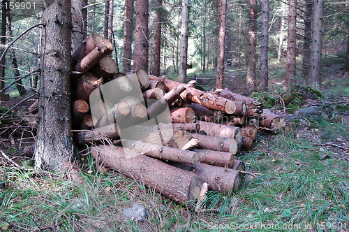 Image of Logs