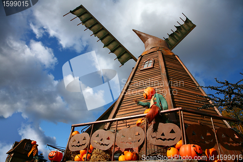 Image of Scenes of halloween with pumpkins