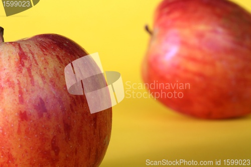 Image of Apple 