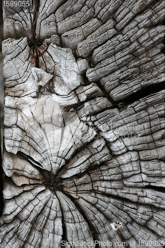 Image of wood