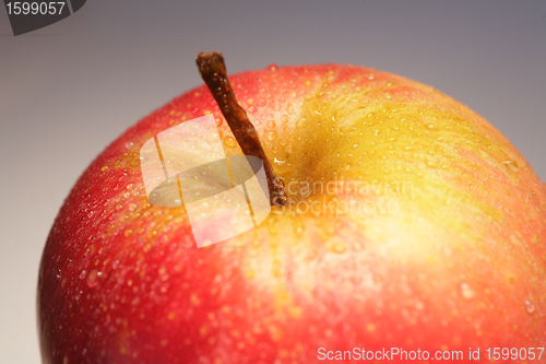 Image of apple
