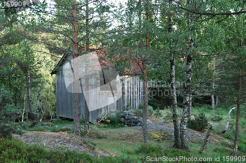 Image of Old shed