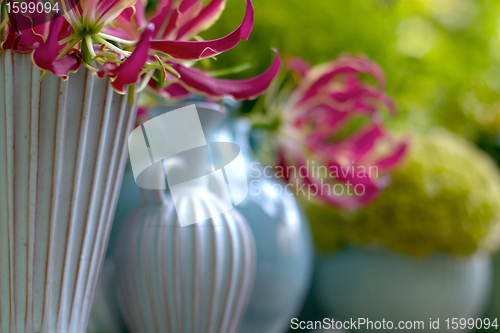Image of flowers