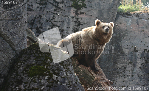 Image of zoo