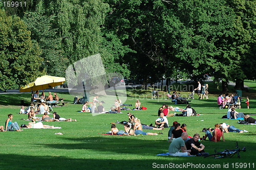 Image of People relaxing in the park