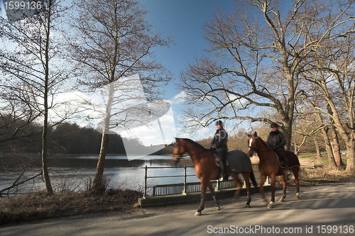 Image of riding horses