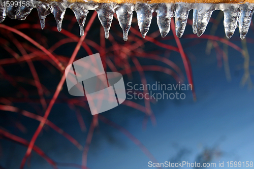 Image of winter