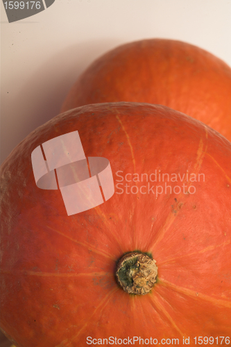 Image of pumpkin01