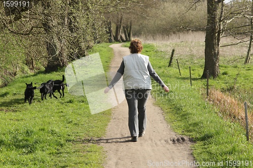 Image of walking the dog