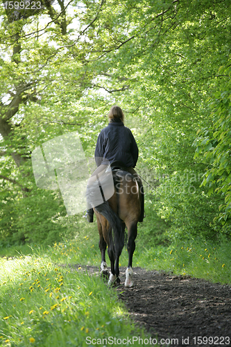 Image of riding horses