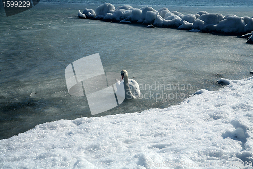 Image of winter in denmark