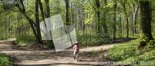 Image of Green forest bikers