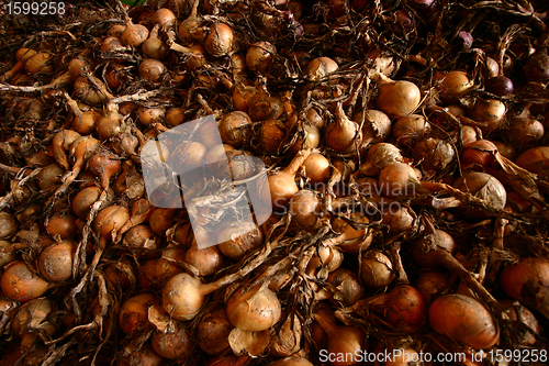 Image of onions