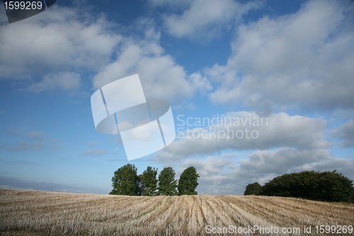 Image of danish landscape01