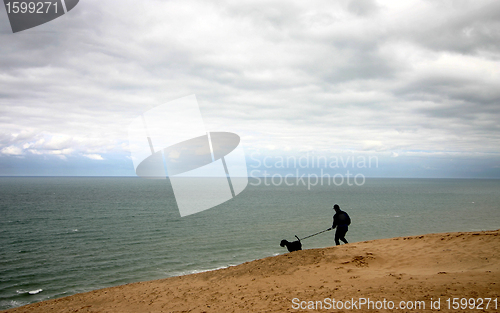 Image of summer in denmark: man with dog