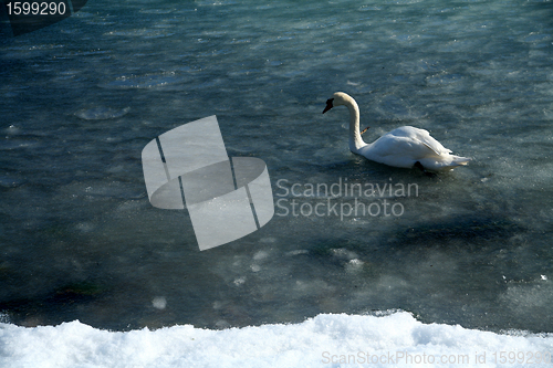 Image of winter in denmark