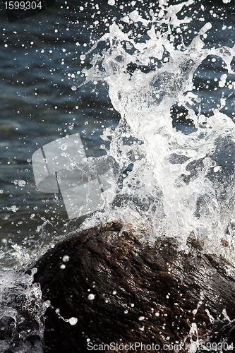 Image of Water splashing on rocks 