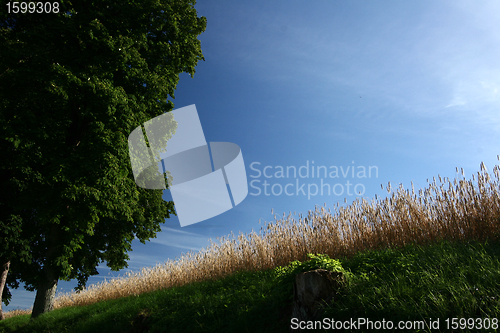 Image of rural denmark
