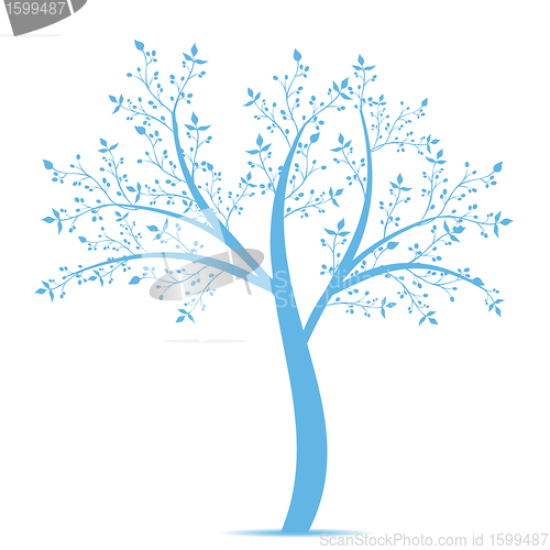 Image of Olive Tree