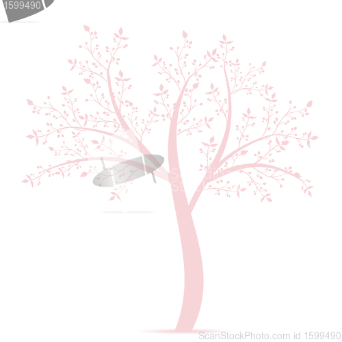Image of Olive Tree